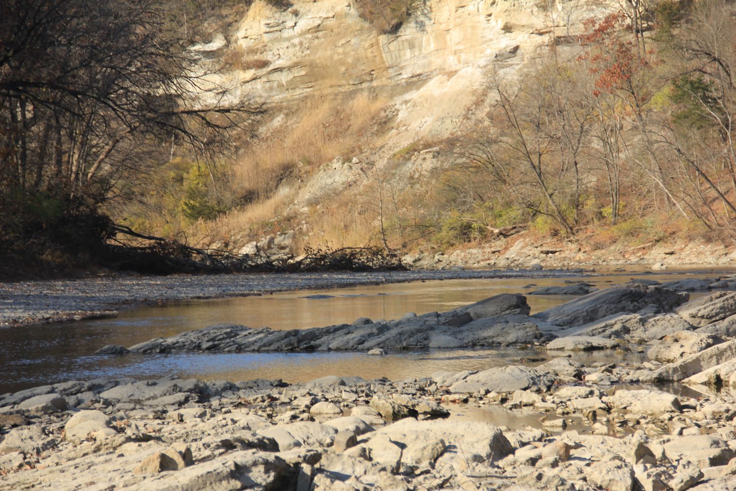 Matthiessen 